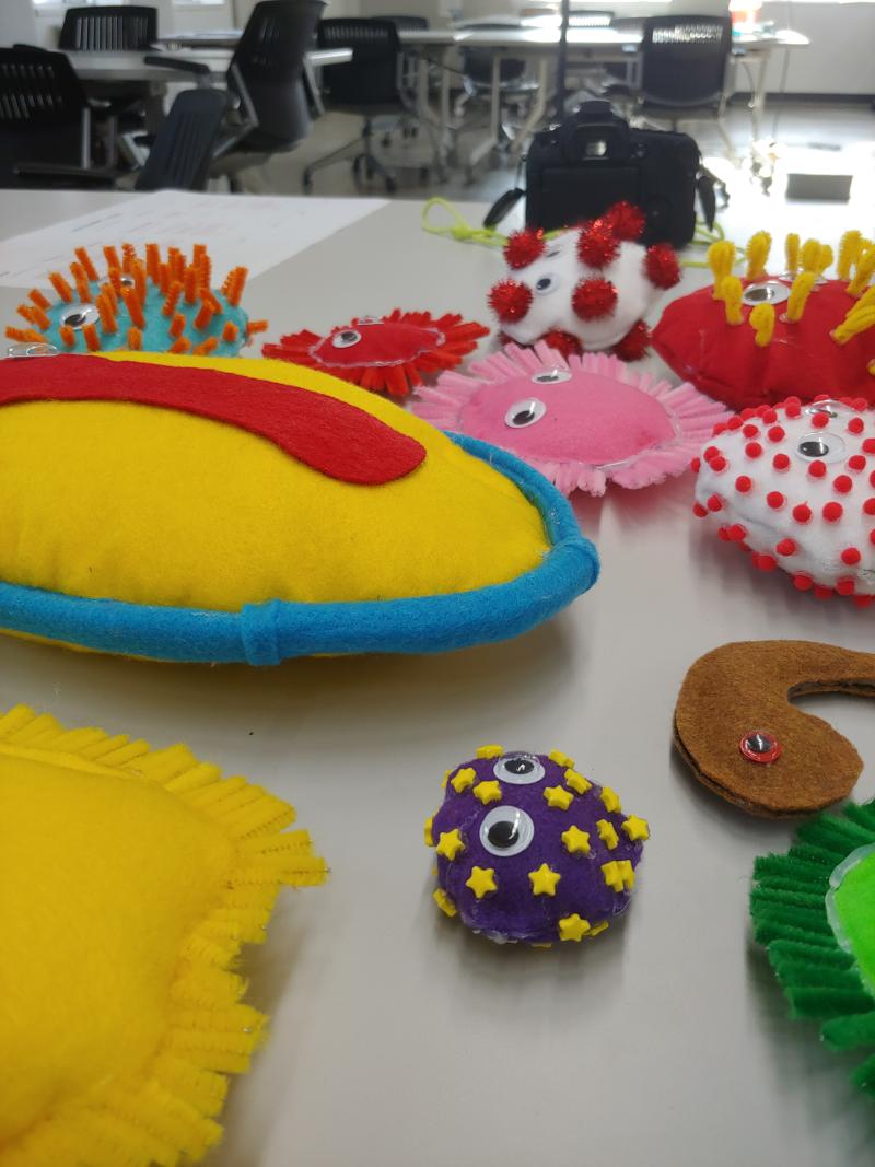 Student work stuffed viruses.