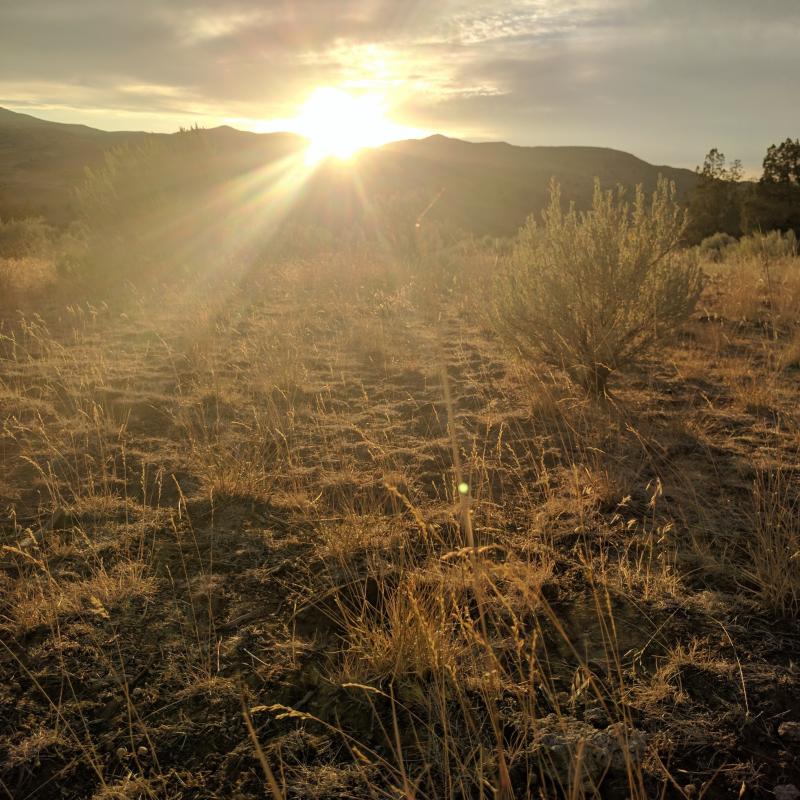 Sun.